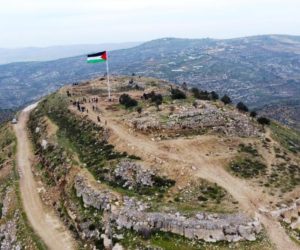 Palestinian land grab in Judea and Samaria