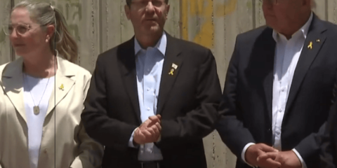 Herzog and Steinmeir